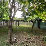 A Telleira A Estrada