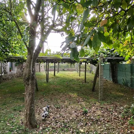 A Telleira A Estrada